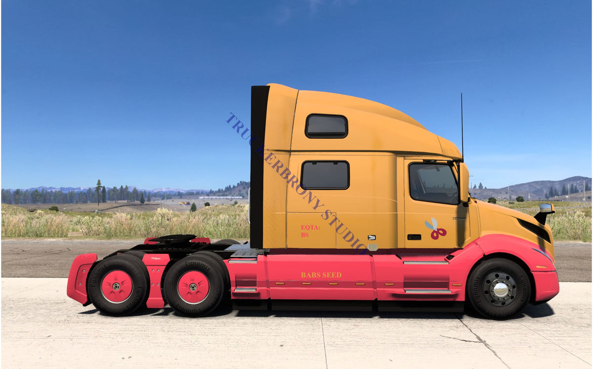 Babs Seed Volvo Vnl (Digital Image)