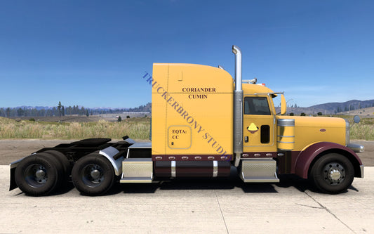 Coriander Cumin Peterbilt 389 (Digital Image)
