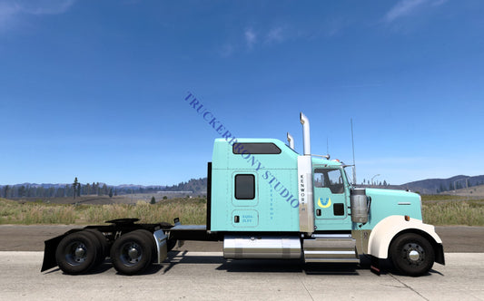 Fleetfoot Kenworth W9000 (Digital Image) Digital Image