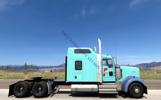 Mrs. Paleo Kenworth W9000 (Digital Image) Digital Image