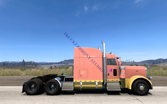 Phyllis Cloverleaf Peterbilt 389 (Digital Image) Digital Image